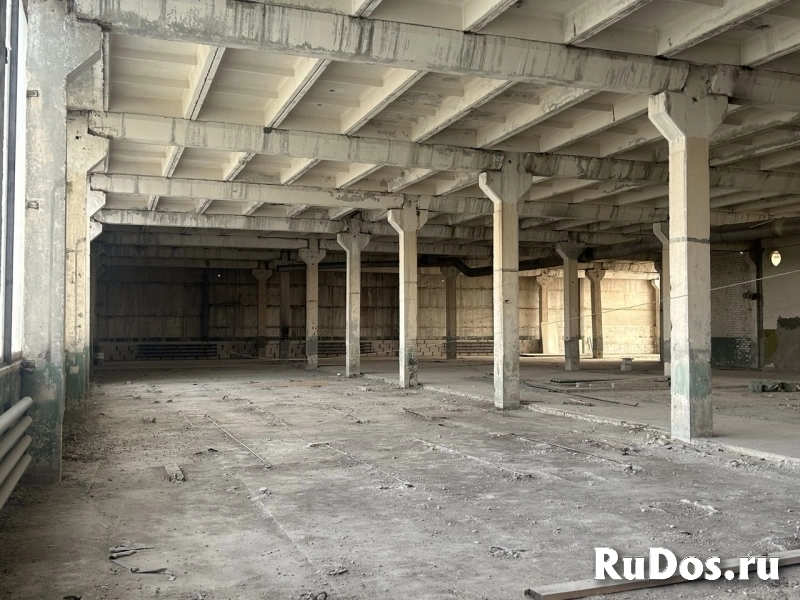 Сдам коммерческую недвижимость 1300 м2 фотка