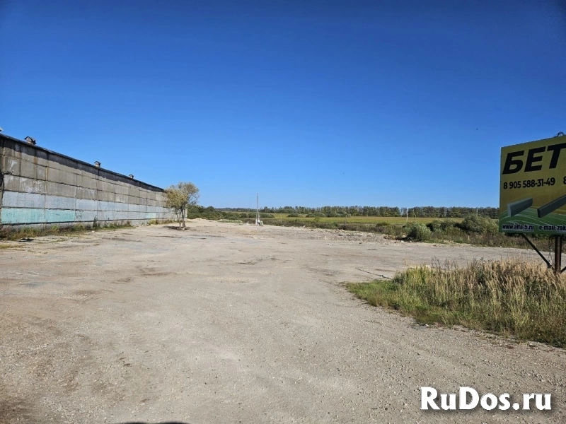 Сдам коммерческую недвижимость 80 сот фото