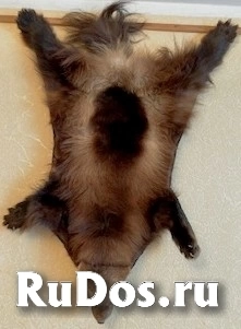 , частное объявление изображение 5