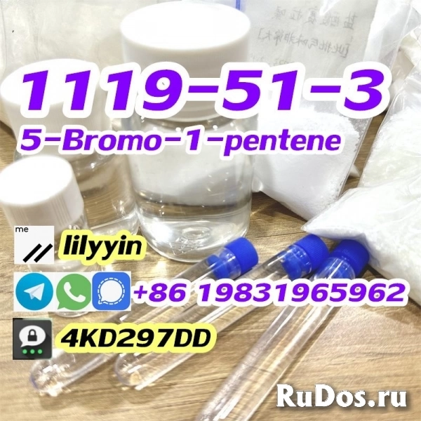 Supply 1119-51-3 5-Bromo-1-pentene изображение 3