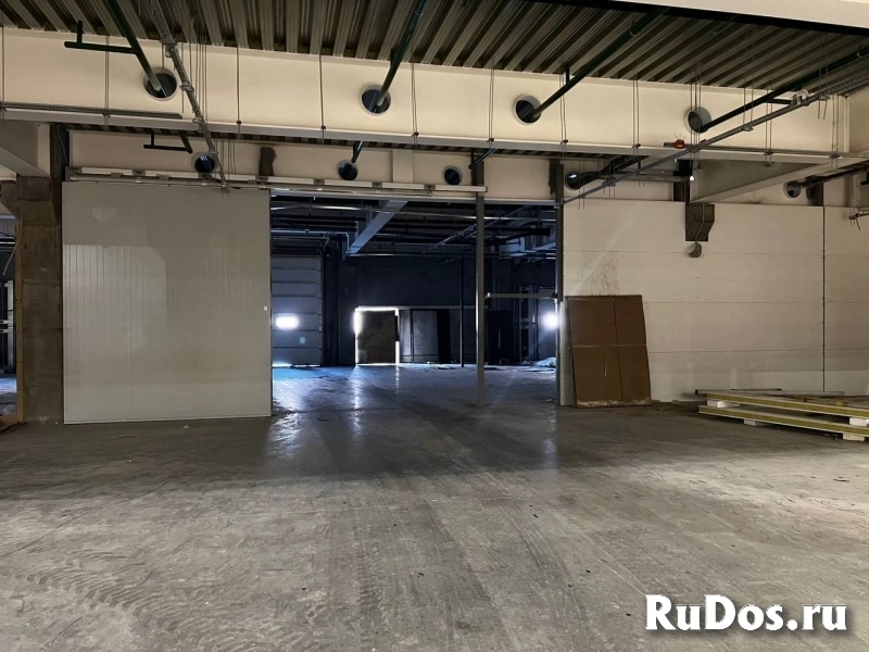 Сдам коммерческую недвижимость 250 м2 изображение 4