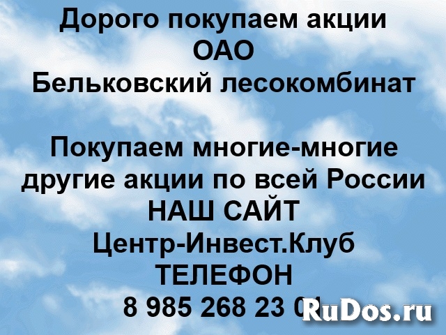 Покупаем акции ОАО Бельковский лесокомбинат и любые другие акции фото