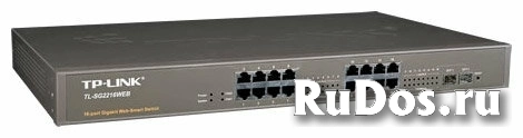 Коммутатор TP-LINK TL-SG2216WEB фото