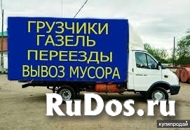 Грузчики на час, демонтаж вывоз мусора фото