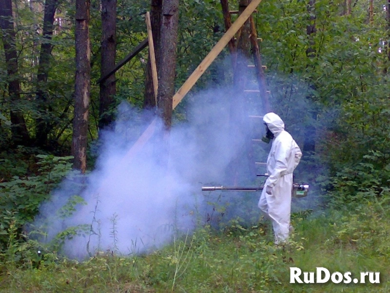 Уничтожение клещей комаров и кротов на участках Киржач фото