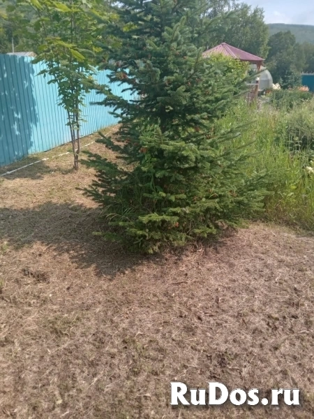 Продам дом 54 м2 изображение 8