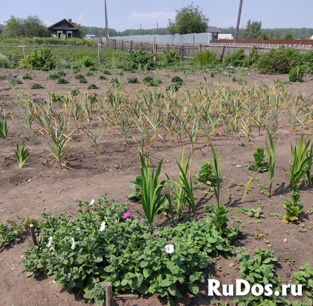 Продам дом 45 м2 изображение 3