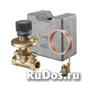 Регулятор давления Oventrop Нусосоп DTZ (50-300 мбар) - Ду50 (ВР/ВР) фото