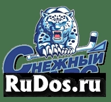 Ледовая арена «Снежный Барс» фото