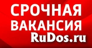 Удаленная работа / Подработка Удаленная работа / Подработка фото