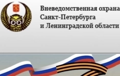 Полицейский вневедомственной охраны в объявлении 1 фото Полицейский вневедомственной охраны картинка из объявления