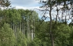 Продам участок 17 сот. картинка из объявления