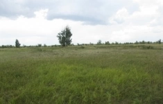 Продам коммерческую недвижимость 2300 сот в объявлении 7 фото Продам коммерческую недвижимость 2300 сот картинка из объявления