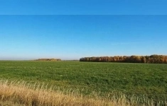 Продам участок 158938 сот. в объявлении 1 фото Продам участок 158938 сот. картинка из объявления