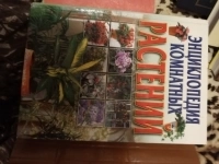 Продам книгу Энциклопедия комнатных растений картинка из объявления