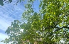 Продам дом 69 м2 картинка из объявления
