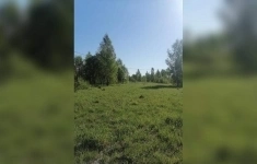 Продам коммерческую недвижимость 119.94 сот в объявлении 2 фото Продам коммерческую недвижимость 119.94 сот картинка из объявления