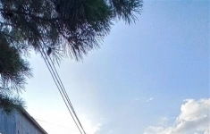 Продам коммерческую недвижимость 2600 м2 в объявлении 10 фото Продам коммерческую недвижимость 2600 м2 картинка из объявления