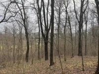 Живописный участок Истра в объявлении 10 фото Живописный участок Истра картинка из объявления