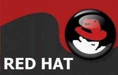 ПО по подписке (электронно) Red Hat Enterprise Linux Workstation, Self-support (Up to 4 Guests) картинка из объявления
