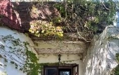 Продам коммерческую недвижимость 317 м2 картинка из объявления