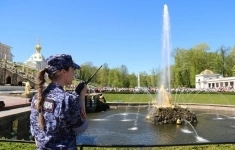 Системный администратор / аналитик данных в объявлении 1 фото Системный администратор / аналитик данных картинка из объявления