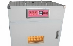 Инкубатор фермерский MJA-3 с выводными ящиками на 264 яйца картинка из объявления