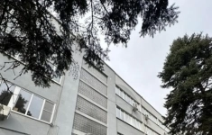 Продам коммерческую недвижимость 7738 м2 картинка из объявления