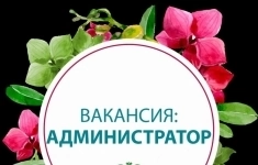 Администратор бара картинка из объявления