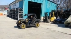 багги (машина с крышей) Brp Commander 1000 картинка из объявления