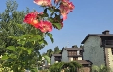 Продам коттедж 88.6 м2 в объявлении 10 фото Продам коттедж 88.6 м2 картинка из объявления