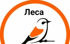 Маркетолог в объявлении 1 фото Маркетолог картинка из объявления