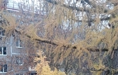 Продам 2 комнатную квартиру 47 м2 картинка из объявления