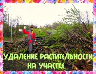Спилить дерево в Воронеже картинка из объявления