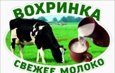 Ветеринарный врач картинка из объявления