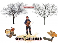 Вырубка деревьев, кустов в Казани | Уборка участков картинка из объявления