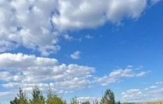 Продам участок 14 сот. в объявлении 4 фото Продам участок 14 сот. картинка из объявления