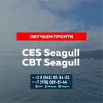 Помощь Seagull CES, Seagull CBT и сдача других тестов для моряков картинка из объявления