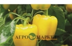 Перец сладкий люмос F1 (2500 семян) Syngenta картинка из объявления