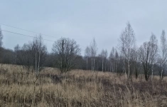 Продам участок 1440 сот. картинка из объявления