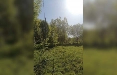 Продам коммерческую недвижимость 119.67 сот картинка из объявления