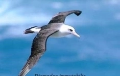 Специалист по охране труда, промышленной безопасности и охране окружающей среды картинка из объявления