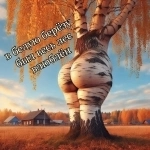 ОЙ ТЫ РУСЬ МОЯ..БЕЛАЯ БЕРЁЗОНЬКА .... 8-911-992-97-30