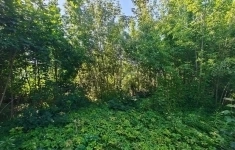 Продам участок 7 сот. картинка из объявления