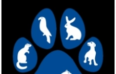 Ветеринарный Ассистент картинка из объявления