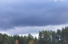 Продам дом 15 м2 картинка из объявления