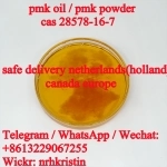 CAS 28578-16-7 pmk ethyl g-lycidate new pmk powder pmk oil картинка из объявления