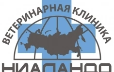 Ветеринарный врач общей практики картинка из объявления
