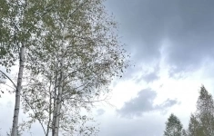 Продам коттедж 130 м2 картинка из объявления