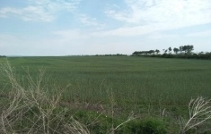 Продам коммерческую недвижимость 100 сот картинка из объявления